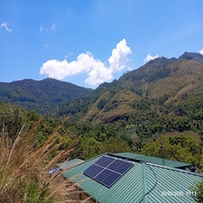 THE NANDAVANAM COFFEE ESTATE